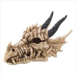 Dragon Skull Treasure Box - 13240