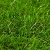 Artificial Grass 3.3'x32.8'/1.6 Green" - Green